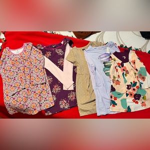 5 items total. 2 Tea dresses, 1 Hanna Anderson, 1 Gap, 1 The Children’s Place.